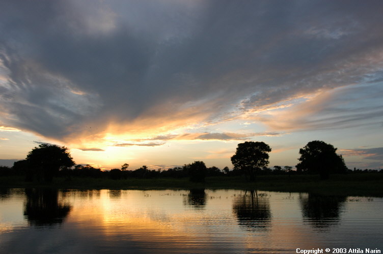 Mamirauá Reserve - Amazonas, Brazil, November 2003
Evening atmosphere after a spectacular sunset